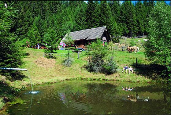 Hotel Panoramadorf Saualpe Eberstein Exterior foto